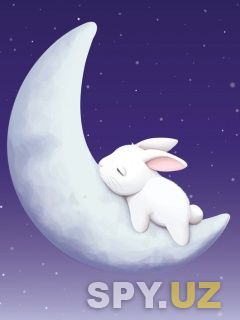 Sleeping_Bunny