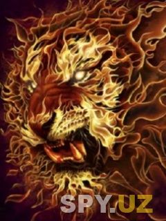 Fire_Lion