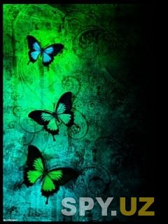 Butterfly_Darkness