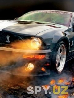 Mustang5