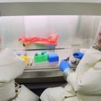 Новая вакцина защитила макак от вируса Эбола