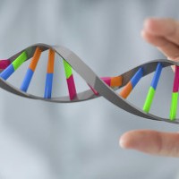 Китайские ученые впервые модифицировали гены в эмбрионе человека