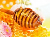 Мёд и все его полезные свойства.