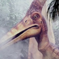 Ученые выяснят причину гибели сибирских динозавров