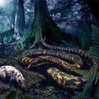 Ученые узнали о привычках и внешнем виде первой змеи