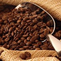 В Европе впервые оценили вред кофеина