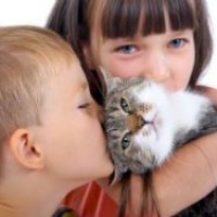 Учёные: общение с кошками делает детей глупее