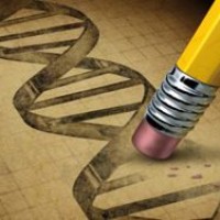 Потенциальные угрозы видоизменения генома человека