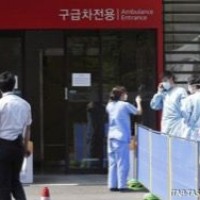 В Южной Корее смертельным вирусом заразились уже 87 человек