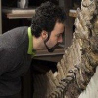 Палеонтологи нашли клетки в костях динозавров