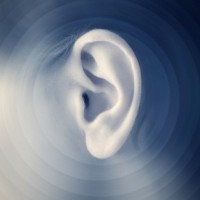 Amazon научила смартфоны распознавать отпечаток уха