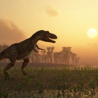Палеонтологи назвали причину отсутствия динозавров у экватора