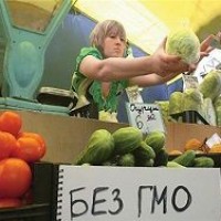 Причина мужского бесплодия кроется в ГМО-продуктах