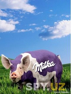 Milka_Pig