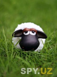 Shaun_The_Sheep