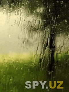 Animated_Rain2