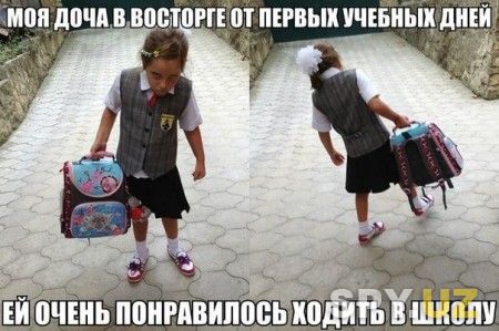 Школа ))))