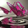 Purple_Butterfly