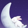 Sleeping_Bunny