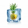 art-ananas-pineapple-frozen
