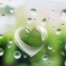 Heart_Bubble