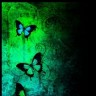 Butterfly_Darkness