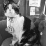 В Японии похоронили кошку-начальника вокзала