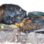 На Ямале нашли загадочную мумию в берёзовом коконе