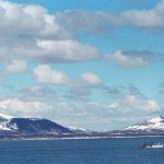 В горах Аляски нашли кости морского ископаемого