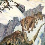 Вину в вымирании мамонтов перенесли с охотников на климат