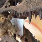 «Пила» на зубах тираннозавра помогла ему стать хищником