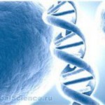 Ученые объяснили феномен образования ДНК человека