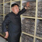 Лидер КНДР призвал совершить «революцию» в боевой подготовке