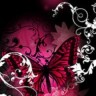 Dark_Pink_Butterfly