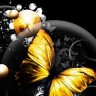 Yellow_Butterfly