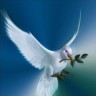 Dove_Of_Peace