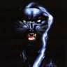 panther_b6bky5wh