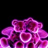 Love_Bears