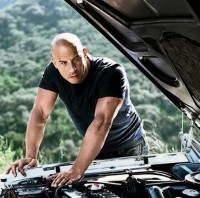 Toretto