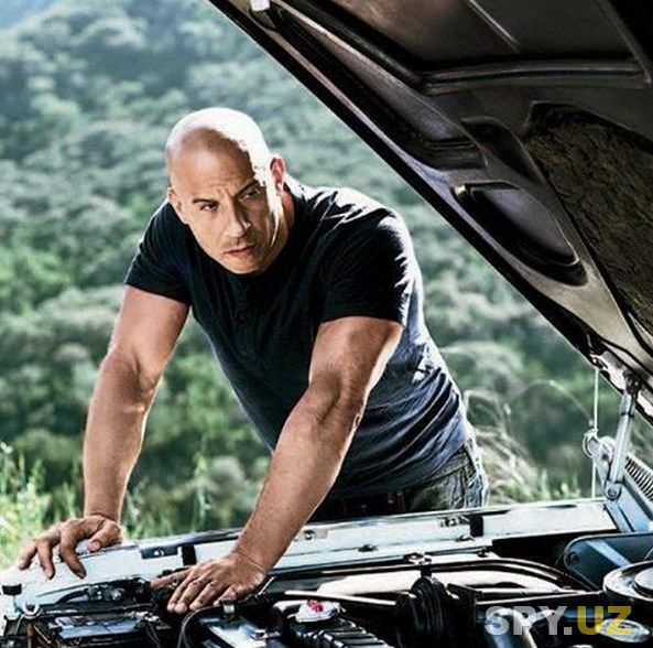 vin-diesel-plays-dominic-toretto-in-the-fast-furious-film-franchise.jpg