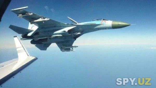 Су-27 напугал шведов.jpg