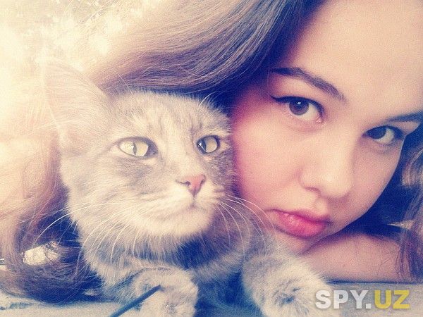 my honey)