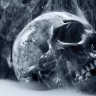 skullsmokingwallpaper6204_1920x1080.jpg